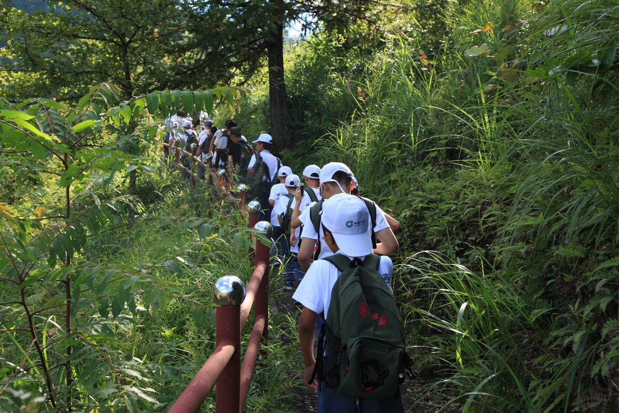 一定发(中国游)官方网站